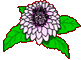 Bloemencorso Rekken